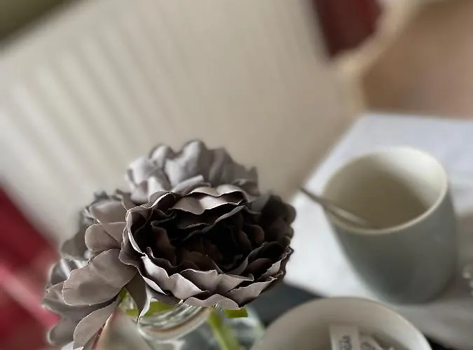 Abbey House Bed & Breakfast 4*